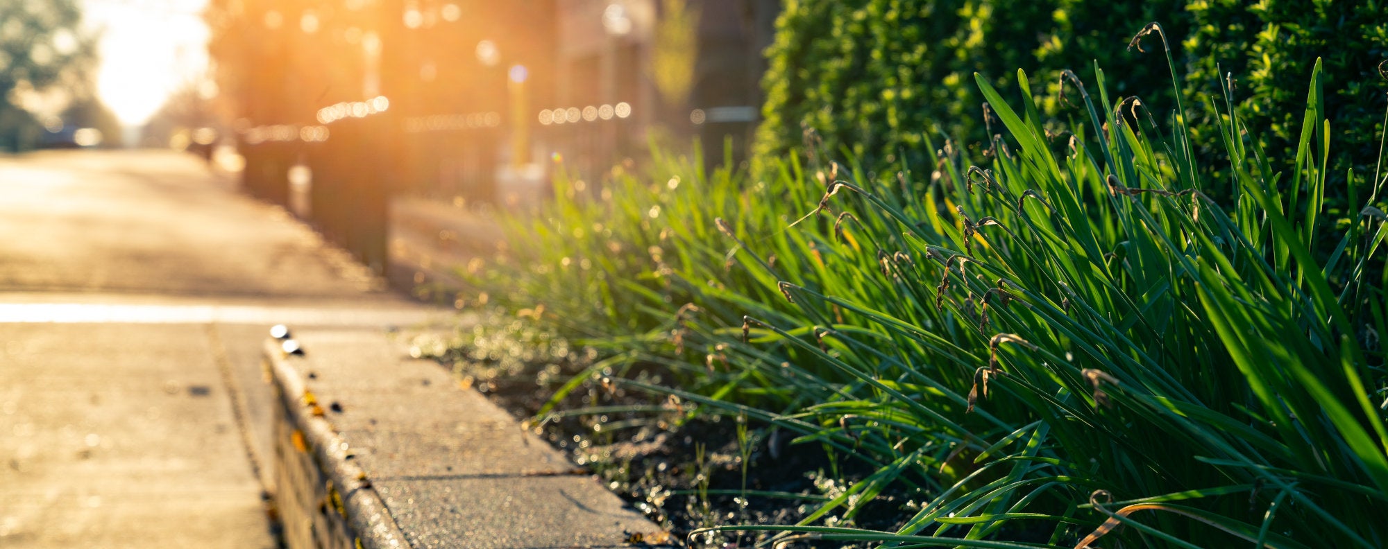 Office of the Registrar